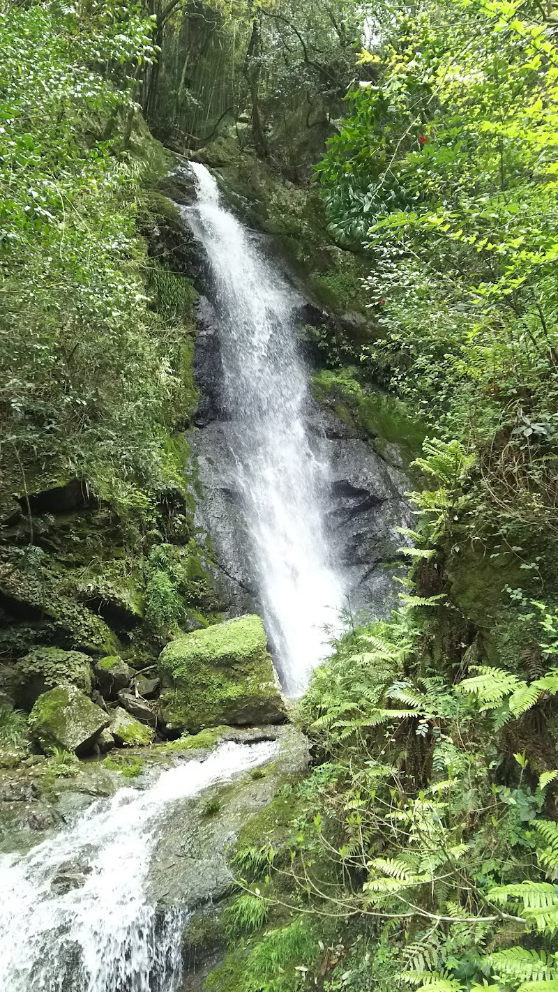 鳴滝