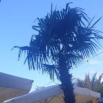 Photo n°2 de l'avis de kathrin.r fait le 24/06/2022 à 22:15 sur le  Finca Hannover Finca & Bar Celona Hannover Marienwerder à Hanover