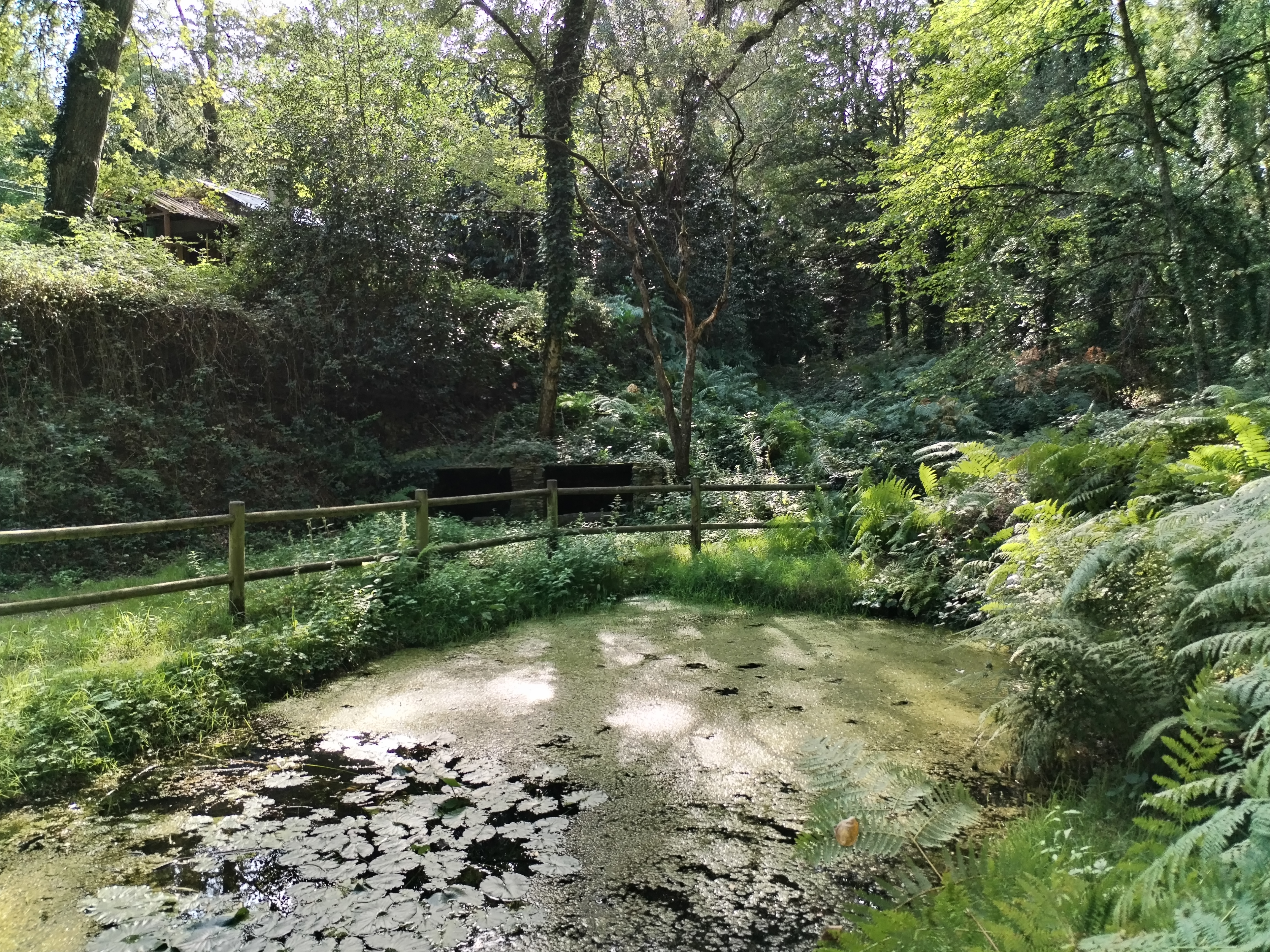 Photo n° 2 de l'avis de Marie-Christine.a fait le 17/08/2023 à 16:53