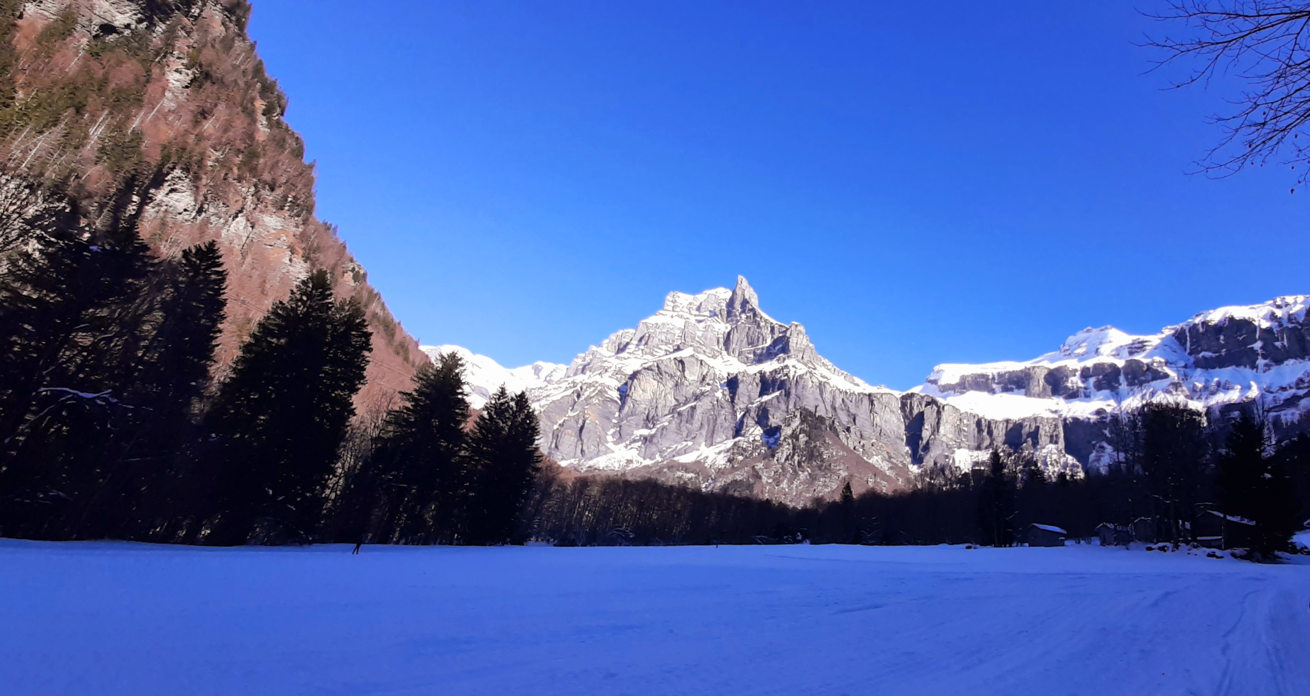 Photo n° 16 de l'avis de MLaure.a fait le 14/02/2023 à 08:48