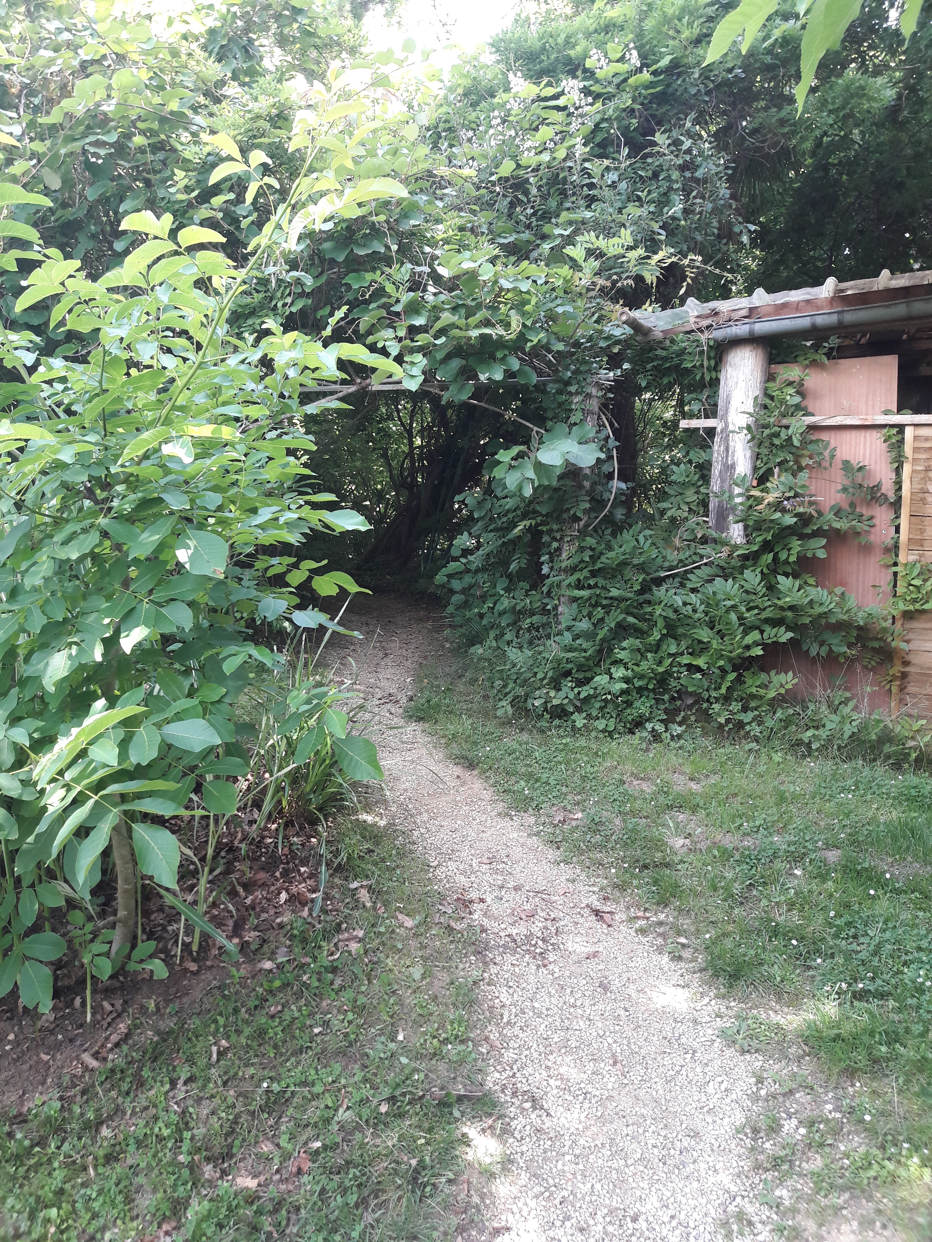 Photo n° 23 de l'avis de Jean-pierre.i fait le 27/06/2019 à 08:13