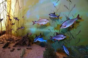 Leipziger Fischwelt image