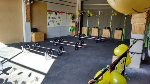 Clases crossfit Mendoza