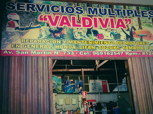 Multiservicio Valdivia