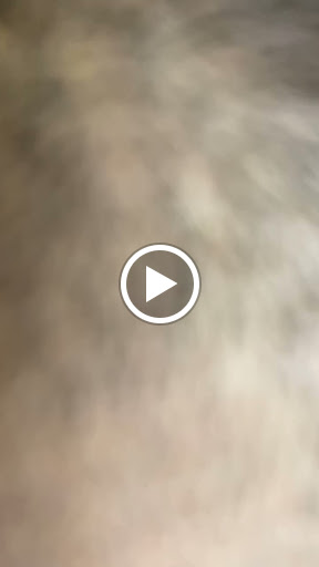 Barber Shop «No. 1 Celebrity Barbershop», reviews and photos, 2015 S Orange Ave, Orlando, FL 32806, USA