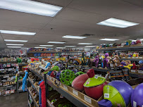 Dog Supplies Outlet - Photo 6 - Car repair in Las Vegas, NV, Las Vegas