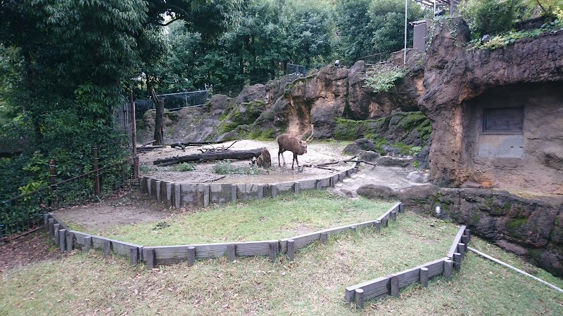 シカ・カモシカ舎 上野動物園