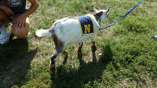 Stadium «Navy-Marine Corps Memorial Stadium», reviews and photos, 550 Taylor Ave, Annapolis, MD 21401, USA