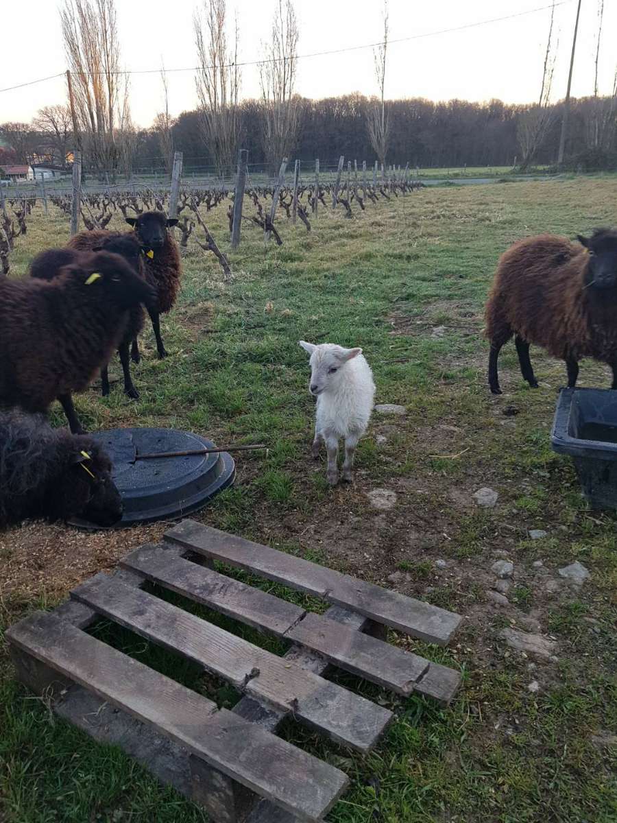 Photo n° 2 de l'avis de cxm.x fait le 10/04/2021 à 18:18