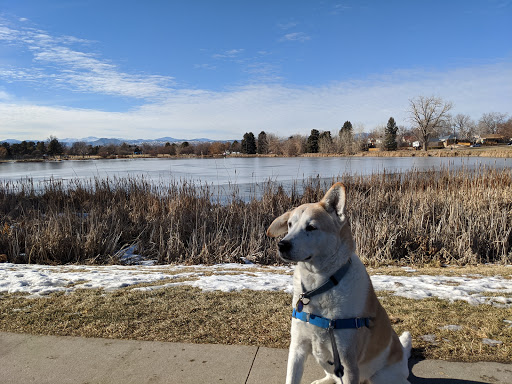 Park «Huston Lake Park», reviews and photos, 850 S Bryant St, Denver, CO 80219, USA