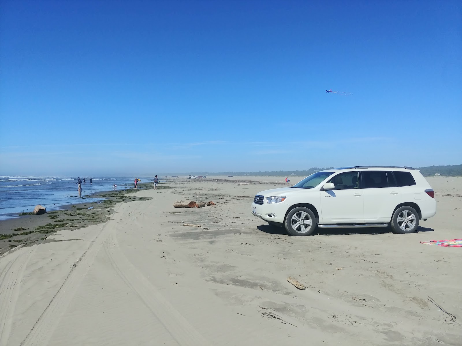 Grayland Beach'in fotoğrafı imkanlar alanı