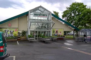 Garten-Center Nordharz GmbH & Co. KG image