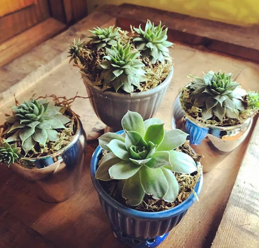 Florist «City Line Florist», reviews and photos, 2978 Nichols Ave, Trumbull, CT 06611, USA