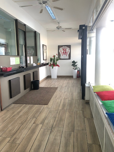 Adorna Cambio by Ardelive - Mendrisio