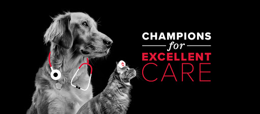 701 Kedron Ave, Morton, PA 19070, USA