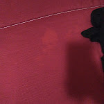 Photo n°3 de l'avis de Daniele.D fait le 29/03/2023 à 14:37 sur le  Hotel Mia - Rimini à Rimini