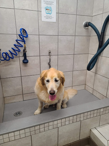 Pet Supply Store «Pet Supplies Plus», reviews and photos, 1206 W Dundee Rd, Buffalo Grove, IL 60089, USA