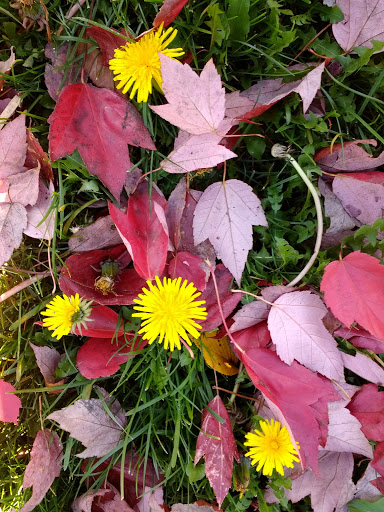 Park «Angle Lake Park», reviews and photos, 19408 International Blvd, SeaTac, WA 98188, USA