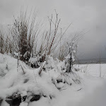 Photo n°6 de l'avis de Nicole.c fait le 06/12/2023 à 08:52 sur le  Hotel North Cape à Karlshagen