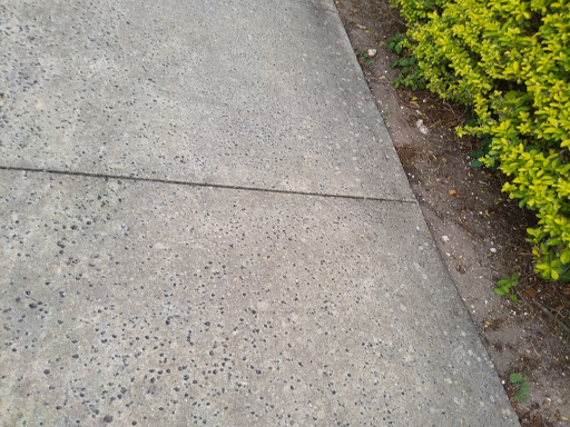 Community Center «Dunedin Community Center», reviews and photos, 1920 Pinehurst Rd, Dunedin, FL 34698, USA