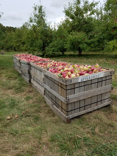 Orchard «Applecrest Farm Orchards», reviews and photos, 133 Exeter Rd, Hampton Falls, NH 03844, USA