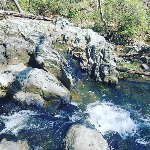 National Park «Prince William Forest Park», reviews and photos, 18170 Park Entrance Rd, Triangle, VA 22172, USA