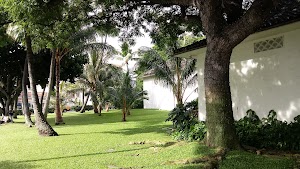 Honolulu Museum of Art - photo 68