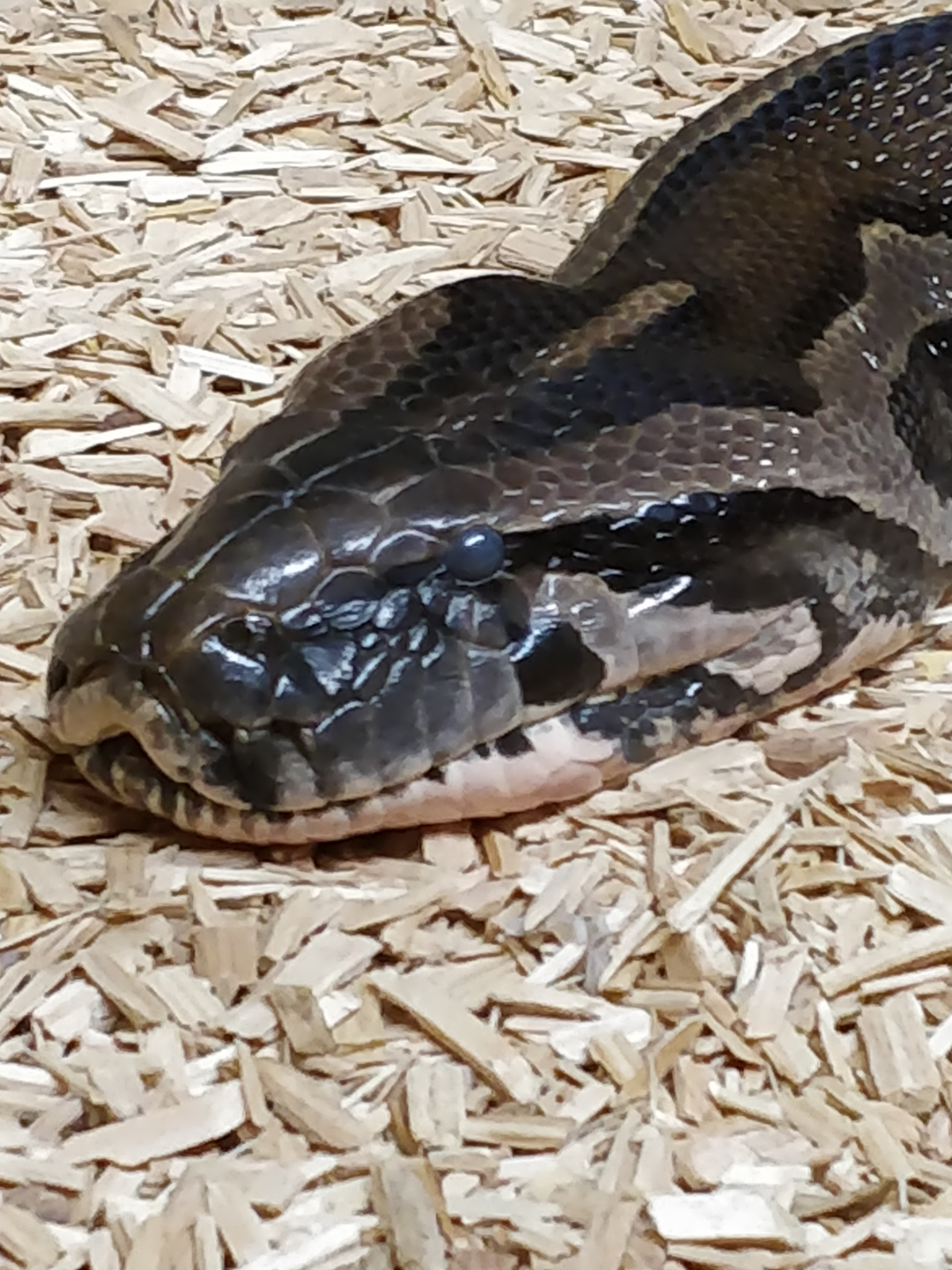 Photo n° 3 de l'avis de Romain.r fait le 18/02/2020 à 16:14