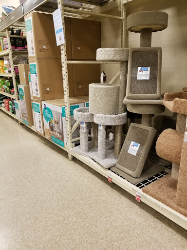 Pet Supply Store «PetSmart», reviews and photos, 555 S Cotton Ln, Goodyear, AZ 85338, USA