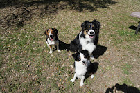 Barking Oaks Pet Resort - Photo 9 - Car repair in Temple, TX, Temple