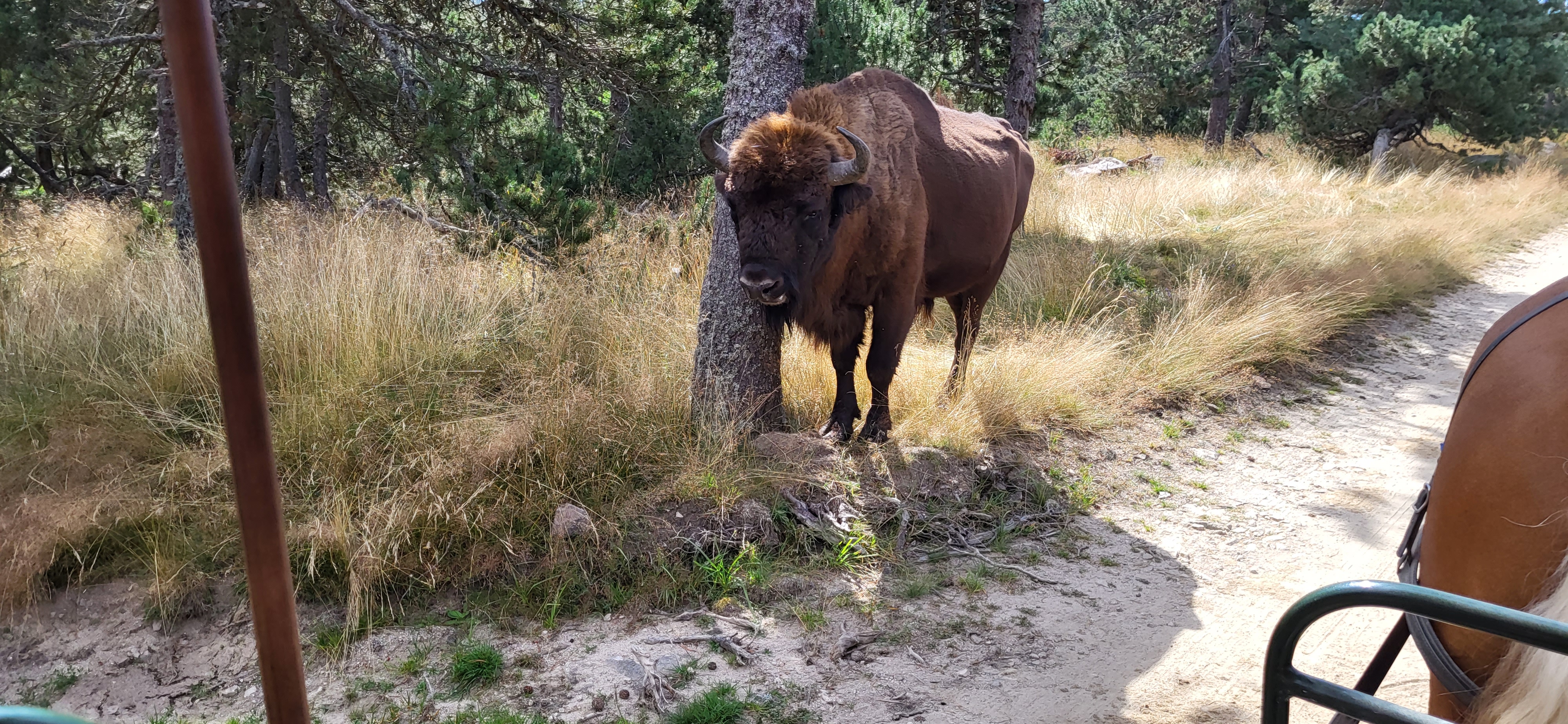 Photo n° 1 de l'avis de Sylvain.O fait le 22/08/2023 à 15:53