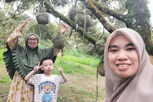 AGROWISATA KEBON KITO image