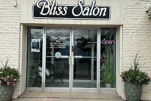 Bliss Salon, L.L.C. image