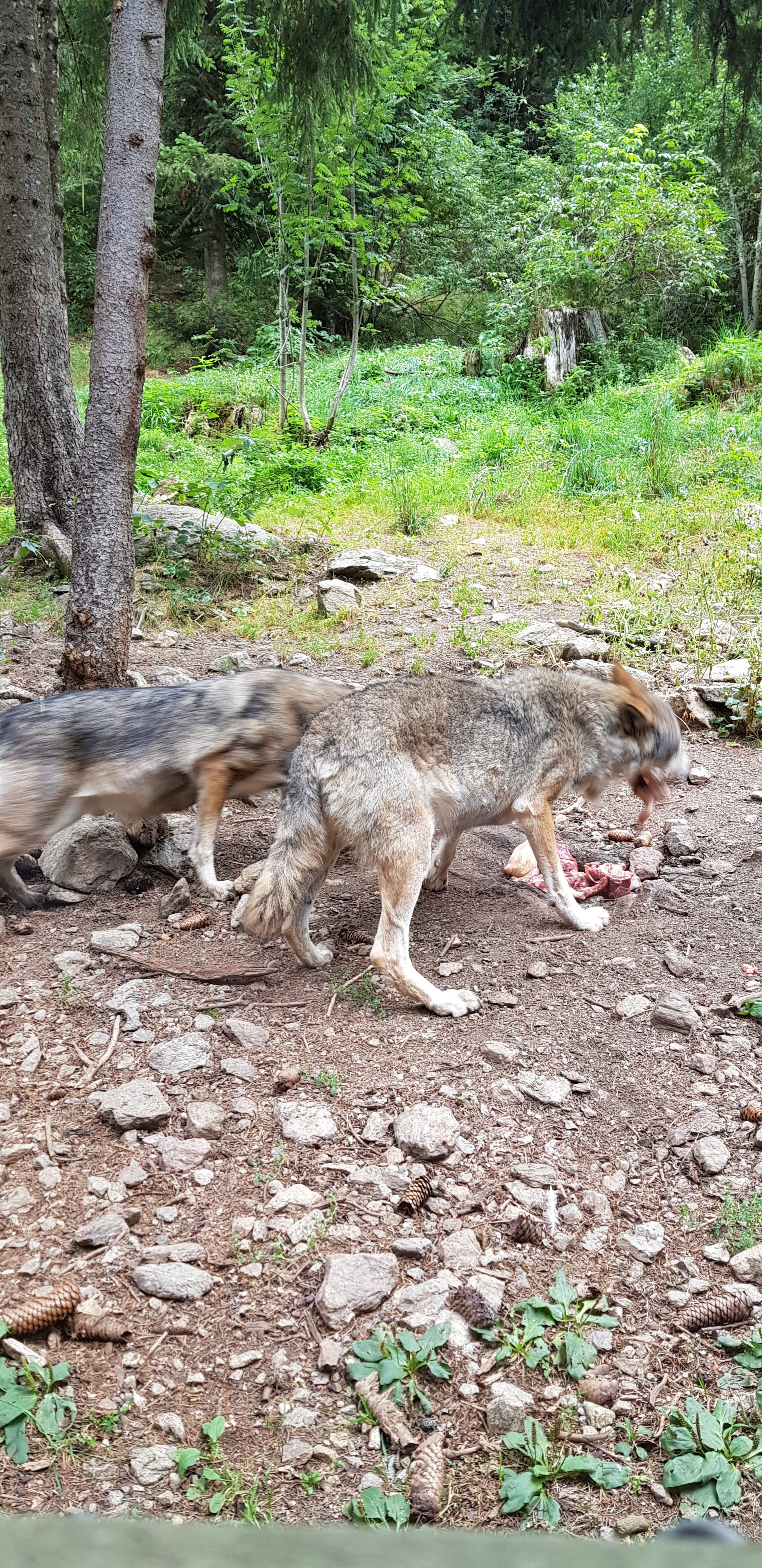 Photo n° 4 de l'avis de Pauline.r fait le 31/08/2019 à 16:42