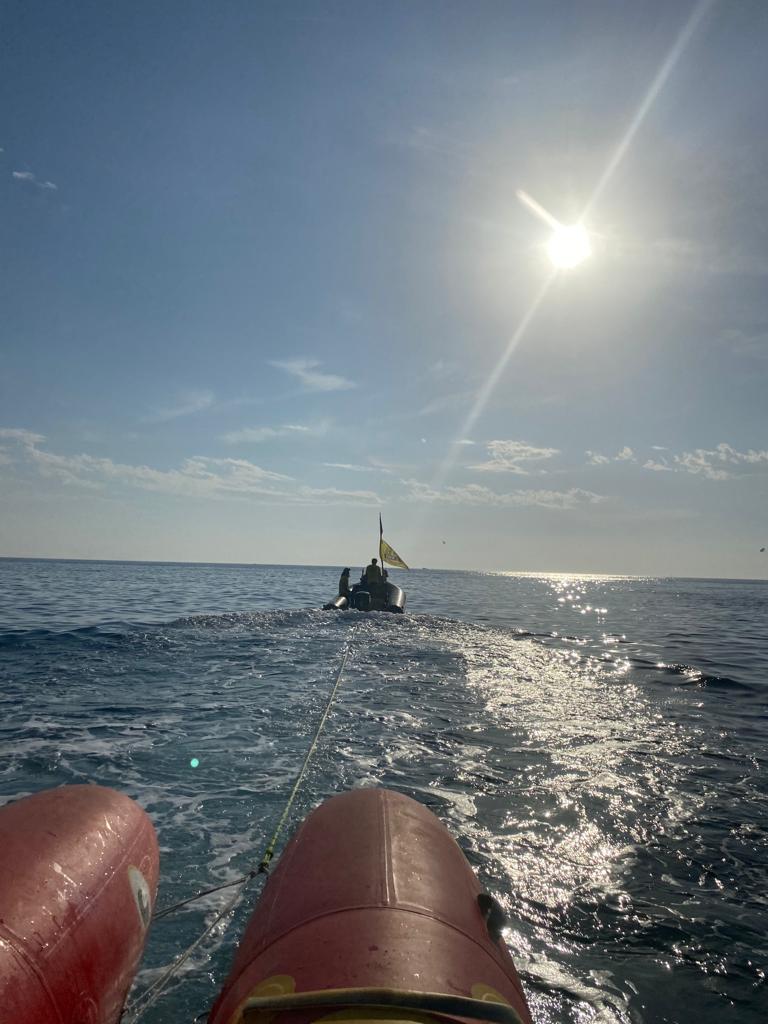 Photo n° 2 de l'avis de Marc.r fait le 15/08/2023 à 11:42