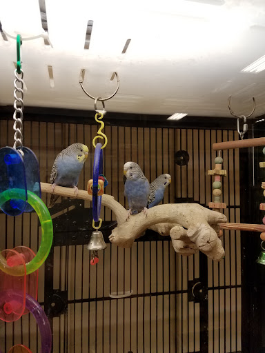 Pet Supply Store «PetSmart», reviews and photos, 400 S State Rd, Springfield, PA 19064, USA