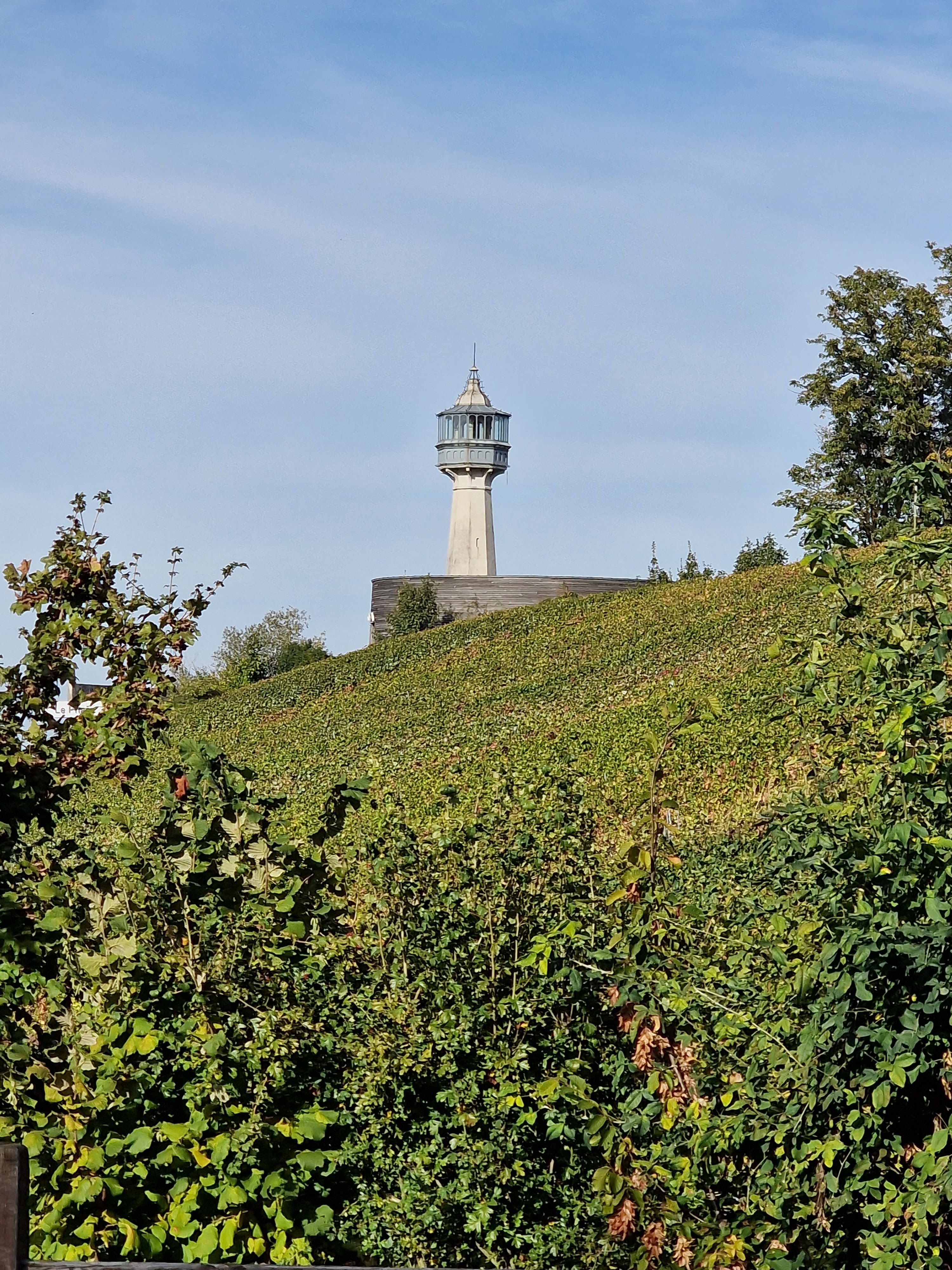 Photo n° 4 de l'avis de Sebastien.e fait le 07/10/2023 à 23:03