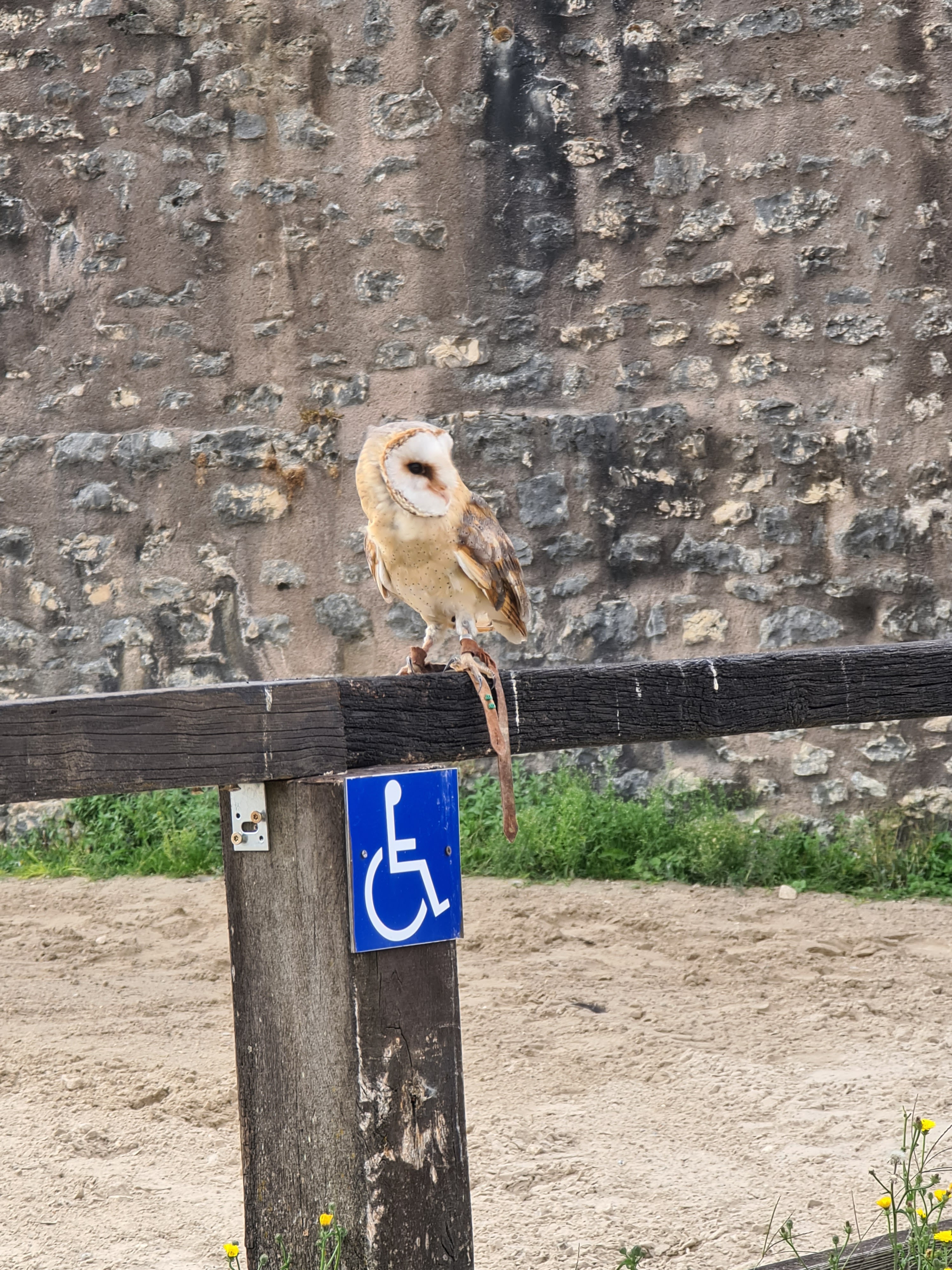 Photo n° 2 de l'avis de Brigitte.O fait le 23/08/2020 à 16:49