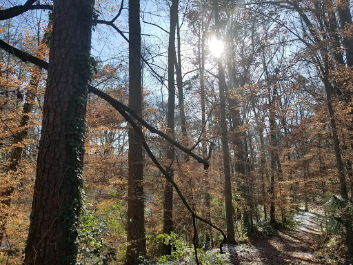 Nature Preserve «Daniel Johnson Nature Preserve», reviews and photos, 1301 Beech Valley Rd NE, Atlanta, GA 30306, USA