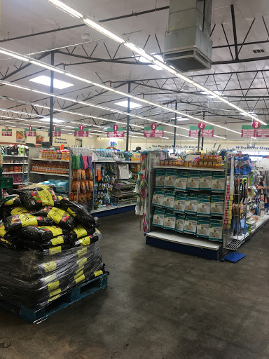 Discount Store «99 Cents Only Stores», reviews and photos, 2762 Imperial Hwy, Inglewood, CA 90303, USA