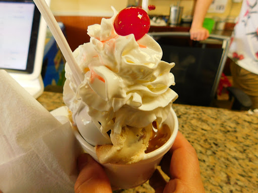 Ice Cream Shop «Sebring Soda & Ice Cream», reviews and photos, 115 S Ridgewood Dr, Sebring, FL 33870, USA