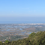 Photo n°4 de l'avis de Stefan.a fait le 22/10/2022 à 10:03 sur le  Ristorante PratoVerde à Chiatri