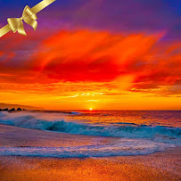 Total Bodyworks' Professionalized Fitness Training - Photo 6 - Car repair in Trenton, FL, Gainesville