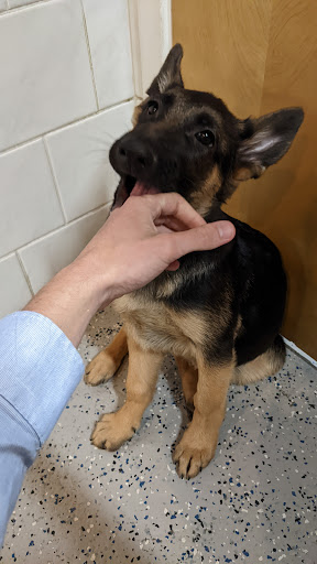 Pet Store «All Pets Club», reviews and photos, 1167 N Colony Rd, Wallingford, CT 06492, USA