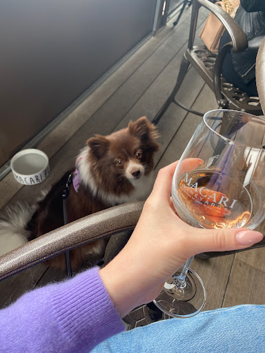 Winery «Macari Vineyards», reviews and photos, 150 Bergen Ave, Mattituck, NY 11952, USA