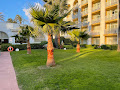 Photos des visiteurs hôtels Meliá Marbella Banús 29660 Marbella (miniature)