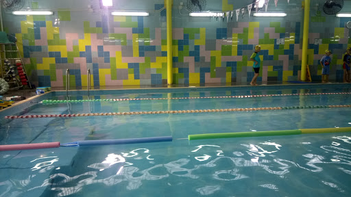 史丹福游泳學校 stanford swim school