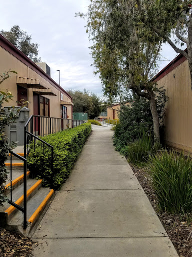 Community College «Palomar College», reviews and photos