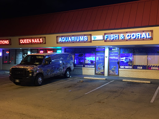 Aquarium «Aquatic Jewels», reviews and photos, 2141 Stirling Rd, Fort Lauderdale, FL 33312, USA