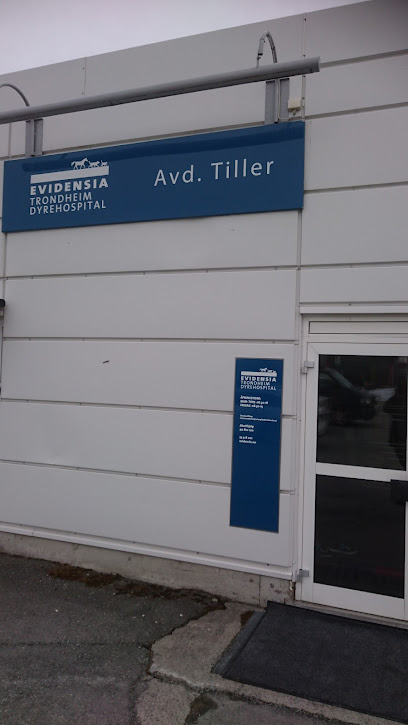 Evidensia Trondheim Dyrehospital – Avdeling Tiller